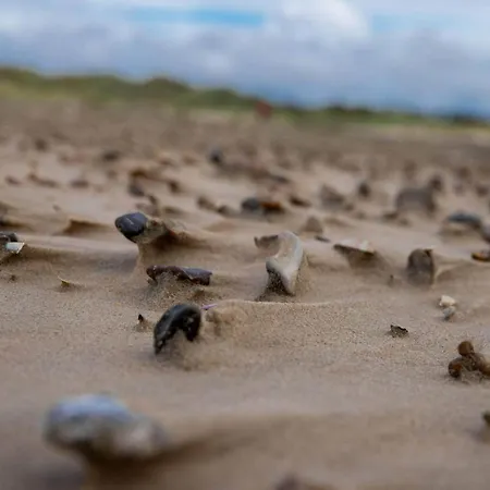 6 Person In Saltum-by Traum Dom wakacyjny Saltum