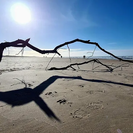 Dom wakacyjny 6 Person In Saltum-by Traum *