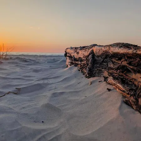 6 Person In Saltum-by Traum Dom wakacyjny