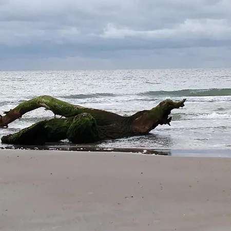 6 Person In Saltum-by Traum Dom wakacyjny Saltum